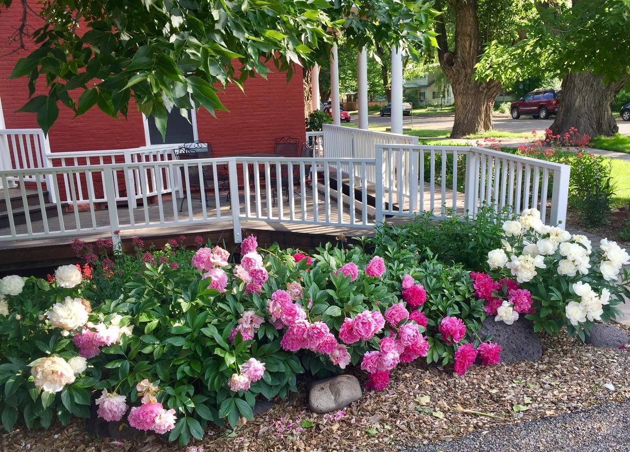 Bross Hotel B & B Paonia Exterior photo